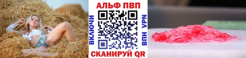 закладки  Дно  A PVP СК 