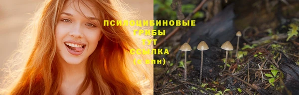 спайс Горно-Алтайск