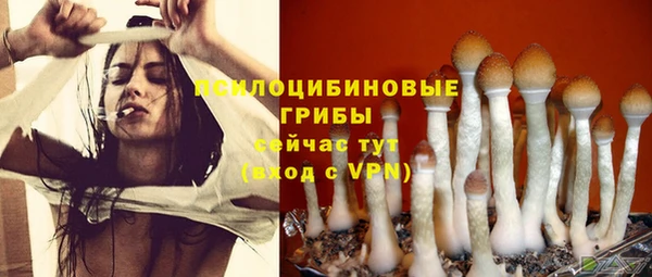 MDMA Горнозаводск